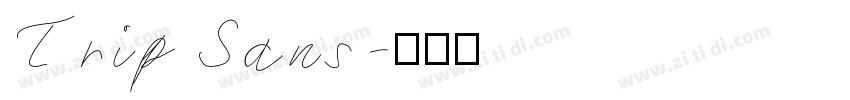 Trip Sans字体转换
